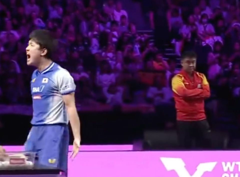 主场的庆祝 主场的庆祝