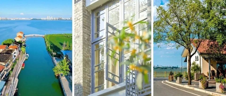 记者丨邓洲, bt, bcpzs 记者丨邓洲, bt, bcpzs