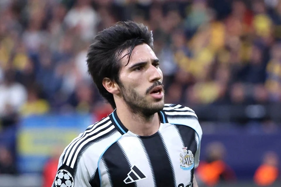 指挥着纽卡 指挥着纽卡